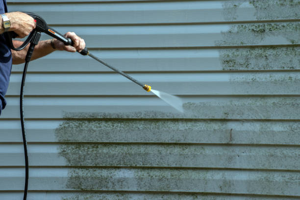 Best Dumpster Area Cleaning  in Waelder, TX
